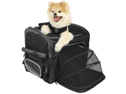 ROUTE 1 ROVER PET CARRIER