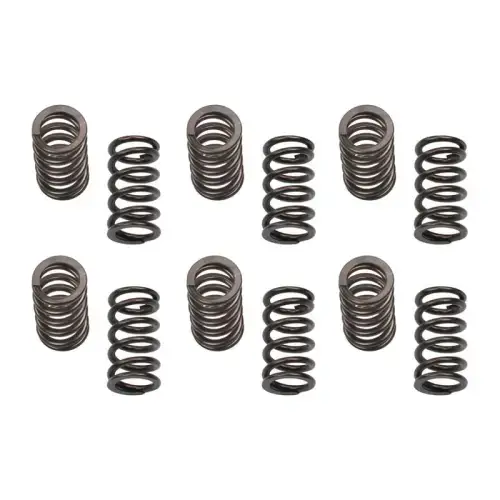 Industrial Injection Performance 150LB Valve Spring Kit for Dodge (1989-98) 5.9L 12V Cummins